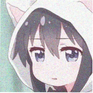 网友头像